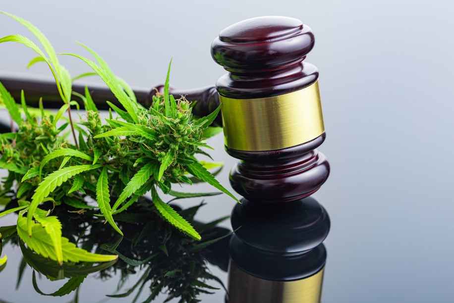Hagar And Phillips Weed Legality In Tennessee hagar-and-phillips-weed-legality-in-tennessee